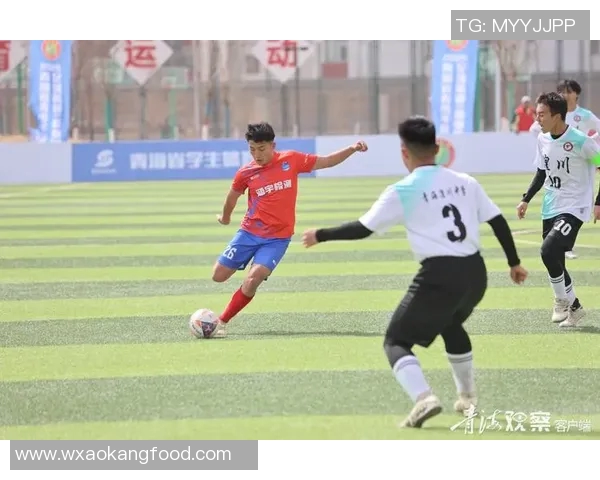 青海足球俱乐部奋勇拼搏展现团队精神助力地方足球发展新篇章